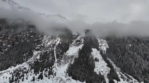 Forward Drone Flight Toward Snow-Covered Mountain and Pine Forest in Fog Vídeo Stock 336358840