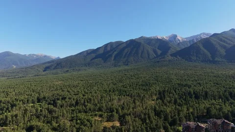Forward Drone Push Over Pirin Forest Bulgaria Stock Footage 343794106