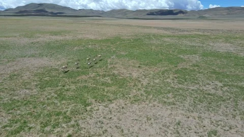 Forward Drone Push Toward Mount Kailash Across Tibetan Plateau, Ngari Tibet Stock Footage 326211212