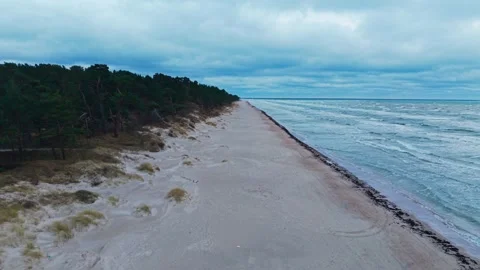 Forward drone reveals eroded dunes, exposed pines and restless Baltic waves Stock Footage 340257975