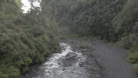 Forward drone shot of a river surrounded by green nature Stock Footage 249894328