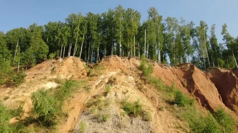 Forward drone takeoff over forest canopy Stock Footage 324245977