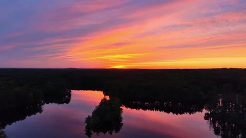 Forward drone view during a golden sunset at Harold Parker State Forest in Stock Footage 337125654