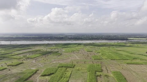Forward Drone View Over Jute Fields with Bundles and River in Bangladesh Stock-Footage 345966167