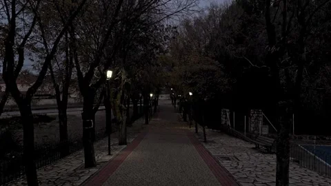 Forward flight from drone view of a cobblestone road surrounded by trees and Stock Footage 261383509