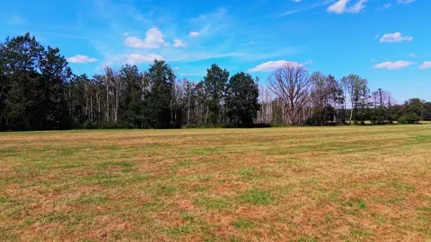 Forward flight over drying grassland to forest Stock Footage 341385476