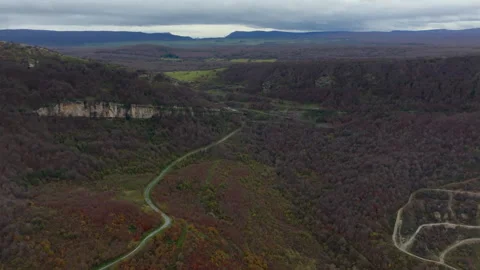 Forward flight over forest road Stock Footage 270072050