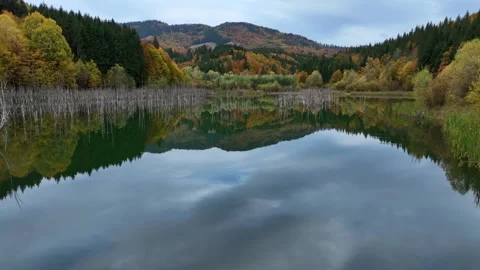 Forward Flight Over Lake Cuejdel's Waters. Slow Motion Vidéo 289302089