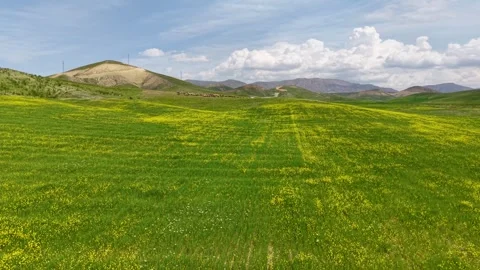 Forward Flight Toward Grazing Sheep, White Horse and Shepherd in Spring Meadow Stock Footage 340856102