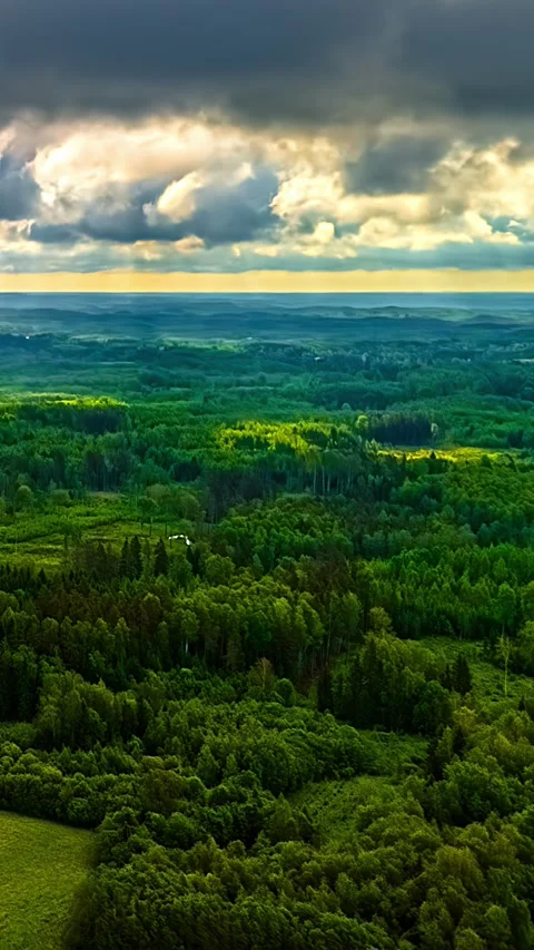 Forward Hyperlapse Flight Beneath Storm Clouds Over Green Forest Stock Footage 345116311
