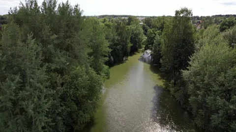 Forward low altitude drone flight above forest river Stock-Footage 329576749