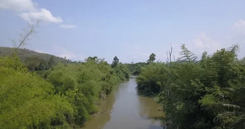 Forward motion aerial view above a tropical jungle river in bright sunlight Stock Footage 106660776