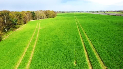 Forward motion, aerial view of disused runway and green fields. Drone. Stock Footage 108398204