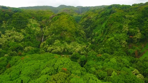 Forward motion Aerial view of Maui Waterfalls Video stock 114454288