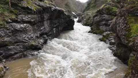 Forward Motion Against River Flow in Canyon 4K Cinematic Shot Stock Footage 334428794