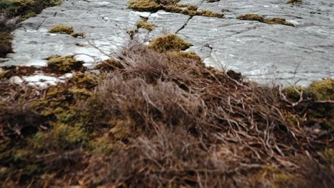 Forward motion up to cliff edge Stock Footage 106018132