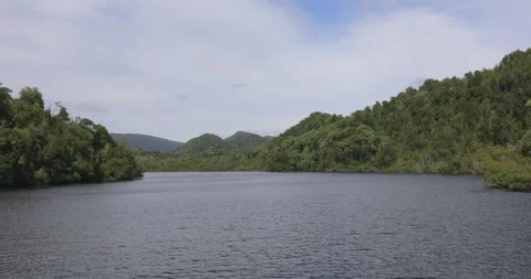 Forward motion on the Gordon River, Strahan, Tasmania, Australia Stock Footage 161527054