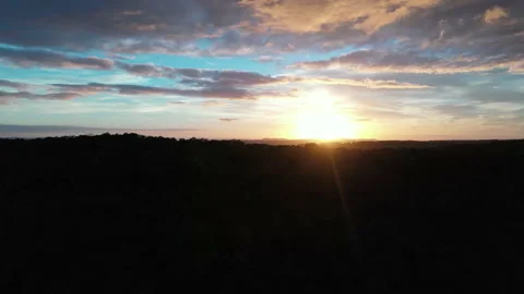 Forward motion over forest silhouette reveals sunrise Stock Footage 231354308