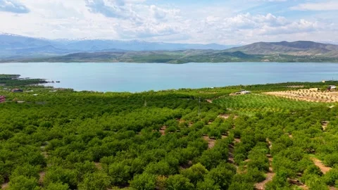 Forward Motion Through Farmland Toward River Under Blue Sky, 4K 60fps Stock-Footage 336864528