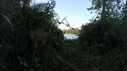 Forward motion through undergrowth to river Stock Footage 133139910