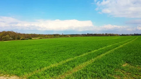 Forward motion view over bright green fields, drone footage Stock Footage 108398003