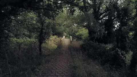 Forward move from darkness towards lid old overgrown stone bridge, in english Stock Footage 95543436