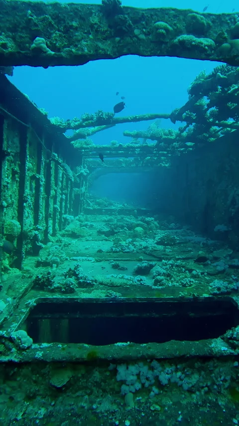 Forward movement along passage on upper deck of Salem Express ferry Stock Footage 295487507