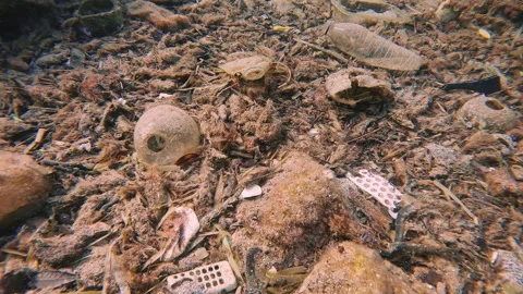 Forward movement, Close up of plastic pollution on sea bottom, Mediterranean Sea Stock Footage 304895046