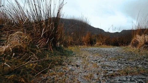 Forward movement toward misty mountain backdrop Stock Footage 106018589
