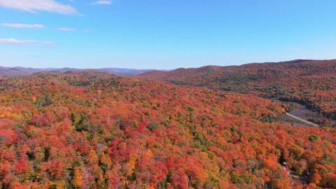 Forward Moving Aerial Drone Flyover of Vast Autumn Forest and Hills Stock Footage 321376616