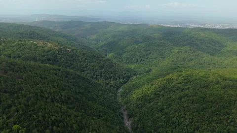 Forward moving aerial drone footage over forested terrain showing the future Stock Footage 345282219
