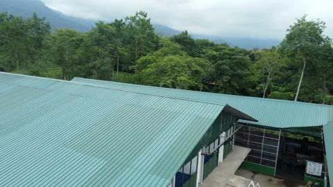 Forward Moving Aerial Drone Shot From Tea Factory Roof To Green Tea Garden Vídeos de archivo 346775290