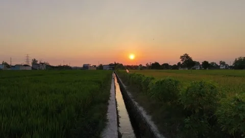 Forward moving aerial drone view of sunset over rural village and rice fields. Stock Footage 342092016