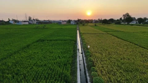 Forward moving aerial drone view of sunset over rural village and rice fields. Video stock 342092017