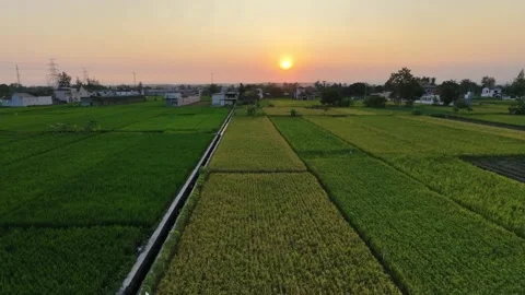 Forward moving aerial drone view of sunset over rural village and rice fields. Stock-Footage 342092056