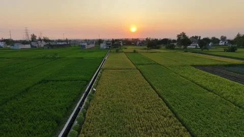 Forward moving aerial drone view of sunset over rural village and rice fields. Vídeo Stock 342092090