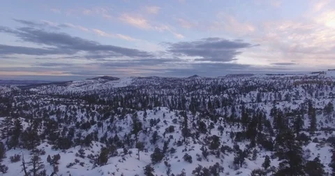 Forward moving aerial over winter trees in Utah Stock Footage 81943799