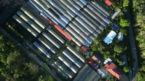 Forward-moving aerial shot approaching a calm residential subdivision with Stock Footage 332930092