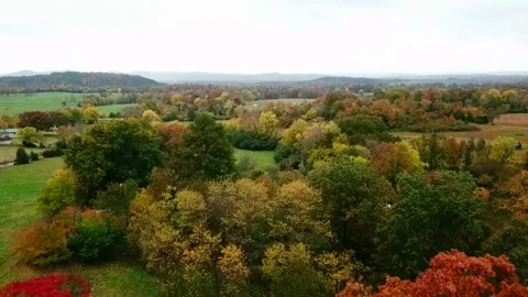 A forward moving aerial view of brilliant autumn colors in a rural setting 動画素材 337204526