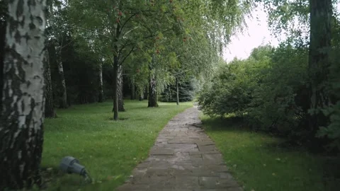 Forward moving camera along natural stone pathway in lush green park 스톡 동영상 326466882