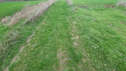 Forward-moving drone shot across vibrant green farmland toward distant hills Stock Footage 323439872
