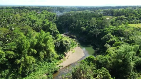 Forward moving drone shot approaching Pantihan Falls surrounded by dense Vídeo Stock 331791920