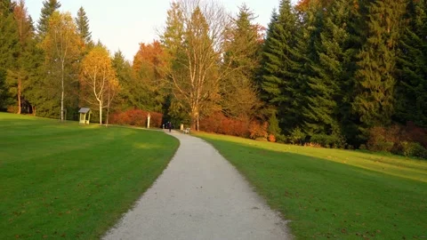 Forward moving on a gravel path Stock Footage 220113476