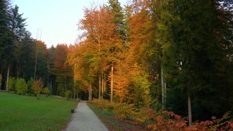 Forward moving on a gravel path Stock Footage 220113519