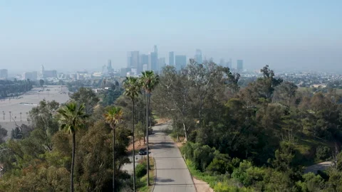 Forward moving shot of Elysian Park palm trees Los Angeles Downtown skyline Stock Footage 273834844