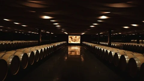 Forward moving shot of French wine barrels in Bordeaux Stock Footage
