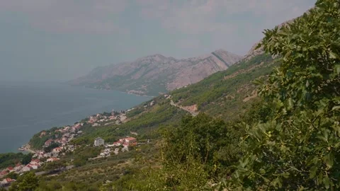 Forward over forest surrounding beach and people settlements. Video stock 296393388