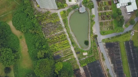 Forward pan top-down aerial shot of a plant nursery Stock Footage 108230798