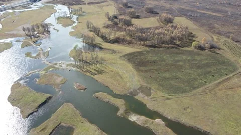Forward Push Aerial View of Autumn Wetland Forest Landscape Stock Footage 330252266