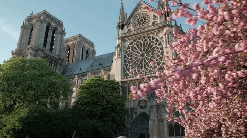 Forward Push-In Low Angle View Cherry Blossoms Reveal Notre Dame Cathedral Paris Stock Footage 93405864
